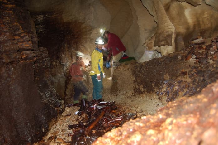 This cave contains a bone deposit all belonging to the moas' which once roamed widely across New Zealand.