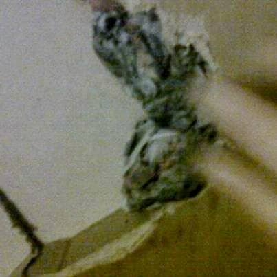 Keep going with the pasted newspaper until the hole is filled. when the paper dries it hardens.