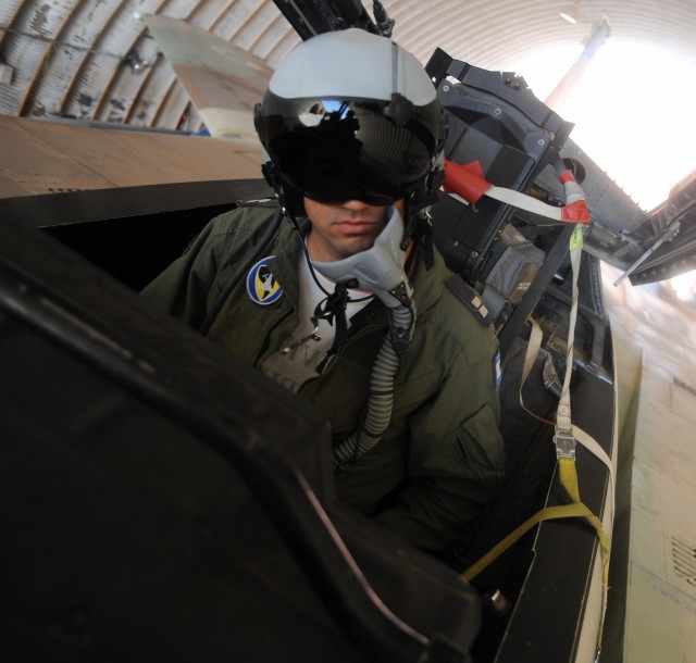 Israel Air Force F151 Pilot