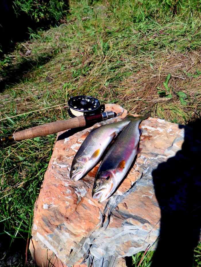 One of my hobbies which I combine with another of my hobbies......fly fishing and backpacking.