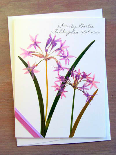 There are hundreds of projects you can make with pressed flowers, from bookmarks and greeting cards to decorated lampshades and resin pendants.