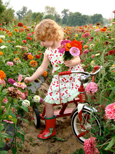 Children love picking flowers and drying them in the microwave! Flower pressing is more fun when you don't have to wait weeks for results.