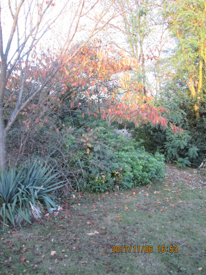 A handsome landscaped vista seen through the iron railings on the approach to the gates from the west that belies...