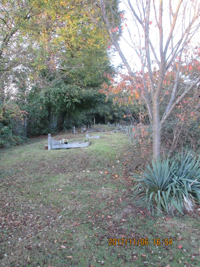 ...the older part of the cemetery, where stopping and looking a bit further left you see a few forlorn stones, like teeth sticking up from a lower jaw. The nearest ones still have flowers left by recent visitors.