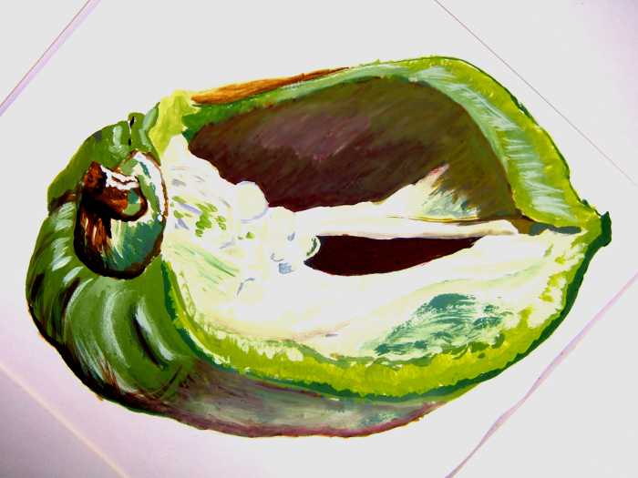 A green pepper in colour, done with thick paint and no black from a tube, painted with mixed paints using primary colours only and the white of the paper.