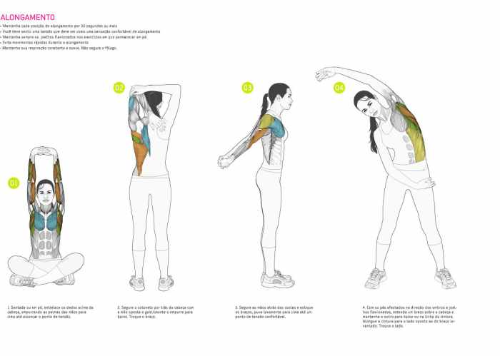 female anatomy of muscles and exercise artistic drawing