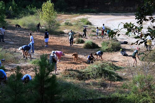 Volunteer for any of your community clean-up campaign. This gets you to do incidental exercise