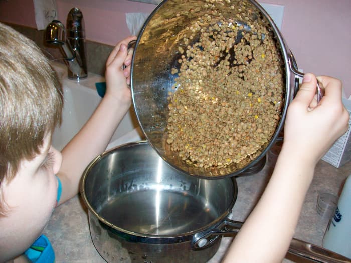 Put the lentils in a saucepan. It's more fun for your child to pour them in, but neater for you to do it.