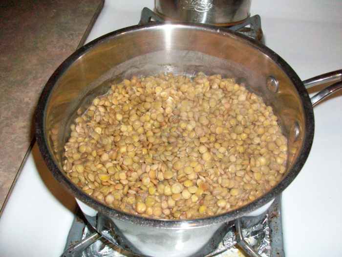 When the lentils are ready, almost all the water will have boiled away.
