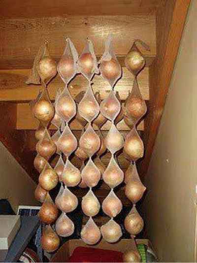 Here is one of the best ways to store your onions. They will keep for up to a year.