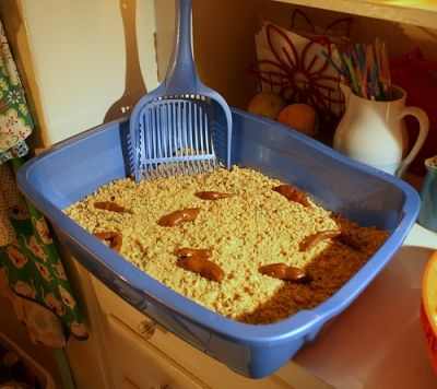 cheap-and-creepy-halloween-decorations