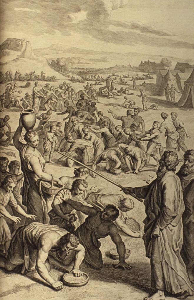The Israelites gather Manna in the Wilderness, Exodus 16:14-22.