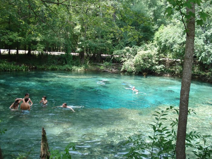 Ginnie Springs is an icy cold, swimmable spring in Florida.