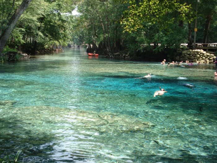 Ginnie Springs empties into the Sante Fe river where you can see boaters and tubers floating by.