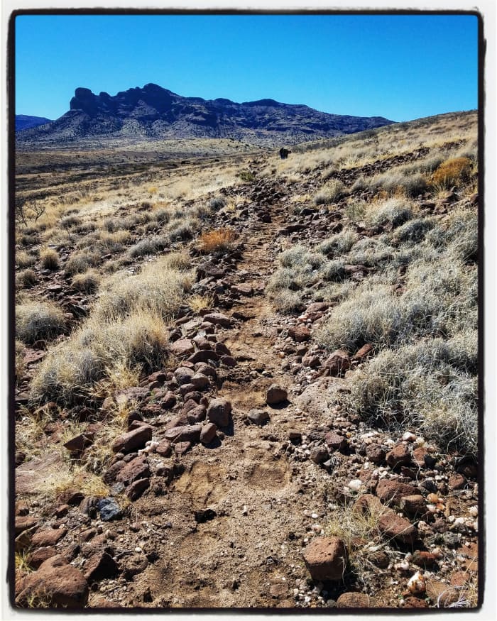 An actual cow path. Photo by TamaraJo. Edited using Instagram. Captured at Round Mountain Rock Hound Area in Arizona. Space shared with Lazy B Ranch