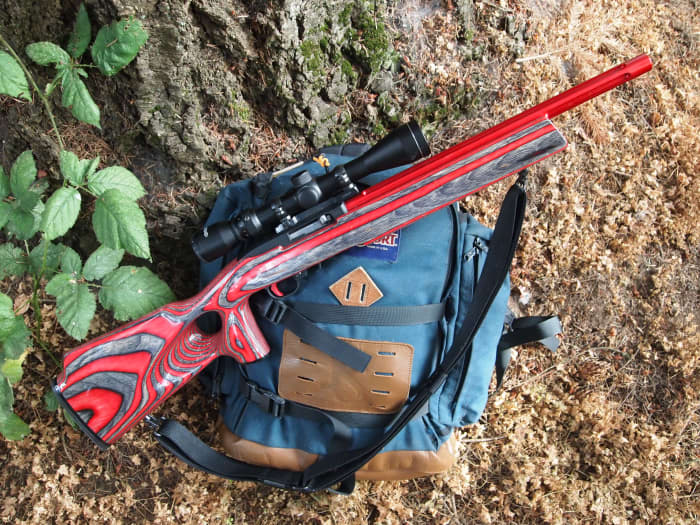 The Ruger 10/22, restocked, rebarreled and equipped a 3-9X scope. It is an excellent squirrel rifle.
