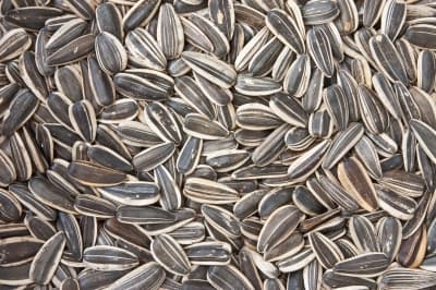 Sunflower seeds are a great snack to munch on while chatting with friends - they are a good source of Vitamin A, meaning that's awesome for your eyes!