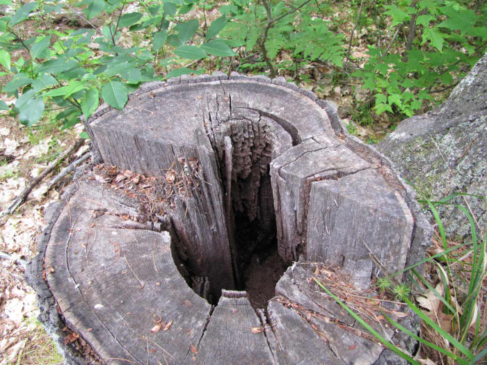 This one has a hollow center. You could cover the top with a peaked roof and shingles. You could even add a chimney or a little window in the roof. An alternate idea would be to make a roof garden on the top. Place a flower pot in the cavity.