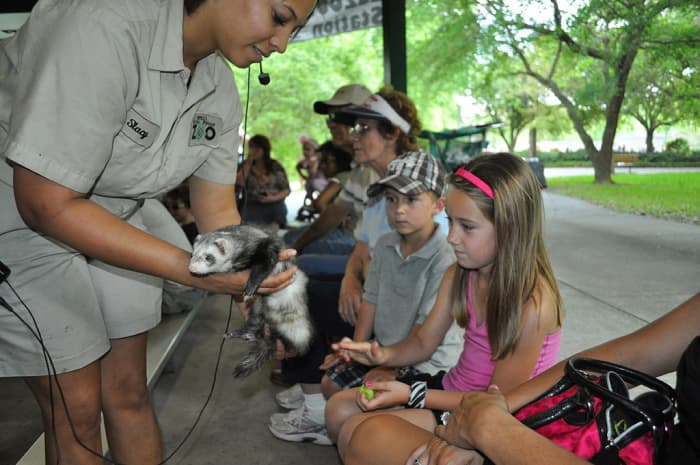 What Makes a Good Zoo - A Personal Journey - HubPages