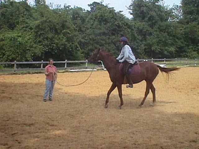 One of my very first rides on Zelda, you can see that she didn't look too enthused. I worked with a great trainer at the time.