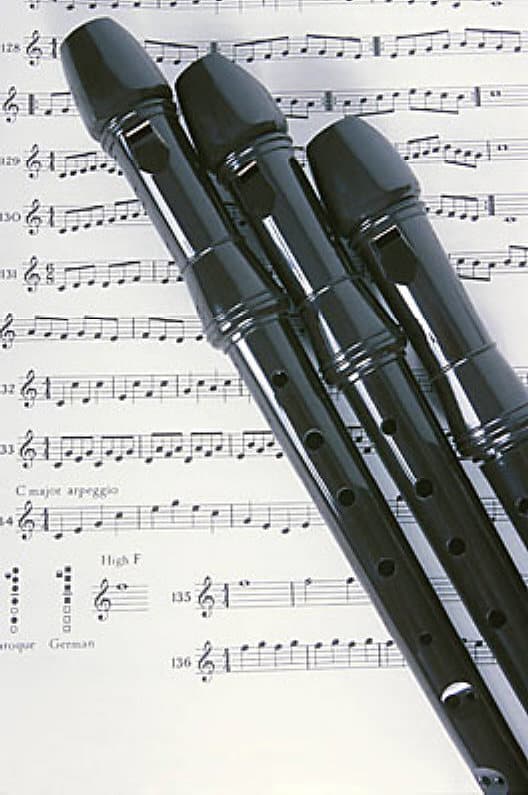 The recorder has three parts. The head has a mouthpiece you blow into. The middle has six finger-holes and a thumb hole. The foot has a hole for the little finger.