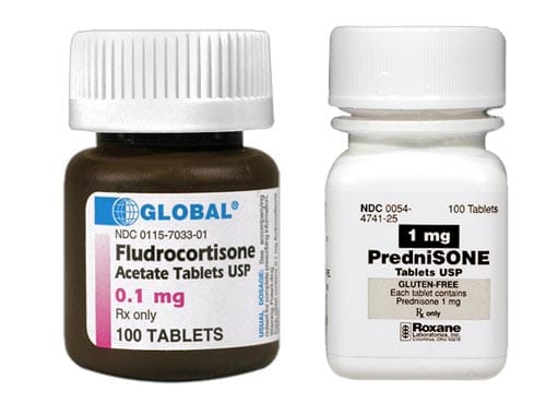Fludrocortisone is a common medication to treat Addison's in dogs. Both Fludrocortisone and Prednisone require a veterinarian's prescription.