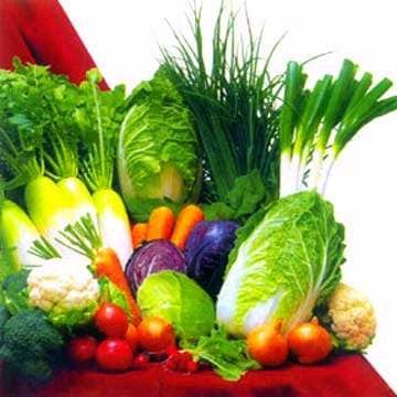 Think about all those wonderful vegetables and how great they will taste in your cabbage soup. This is the new and improved cabbage soup diet that everyone should check out. If you want to lose weight you need to see the New And Improved Cabbage Soup