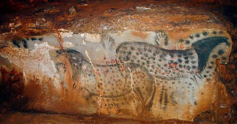 Until recently, most scientists assumed these prehistoric Cave paintings were male. .By measuring and analyzing the Pech Merle hand stencils, Snow found that many were indeed female--including those pictured here.