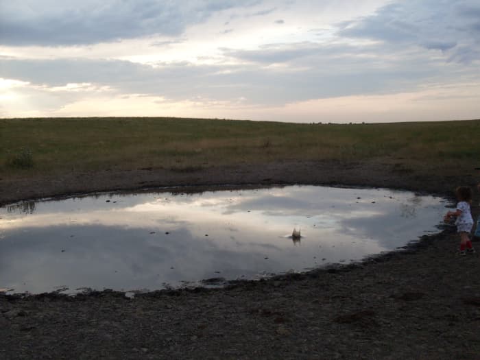But it proved a fine place for throwing stones. We plan to be back next spring, and perhaps collect some tadpole eggs (mostly toads).