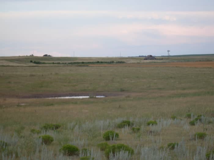 As the year had been quite rainy, I was disappointed that the Buffalo Wallow was dry by the time I got to take photos...