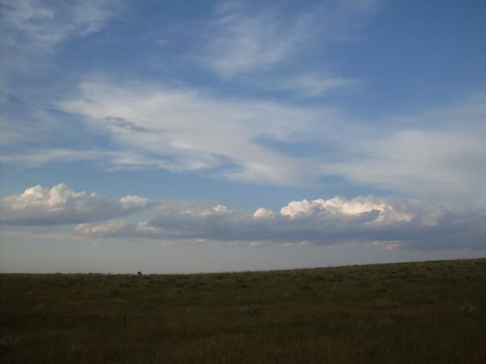 The Buffalo Wallow: Essay and Pictures Detailing an Aspect of American ...