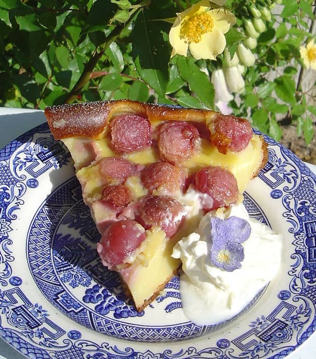 Serve with cream and sugared flowers - picture taken in the gardens of Les Trois Chenes, Videix, France