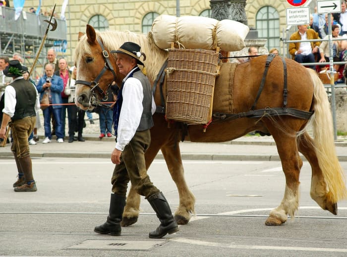 This is a parade in Munich, Germany. The owner wears a traditional German costume and the horse carries beer making supplies.