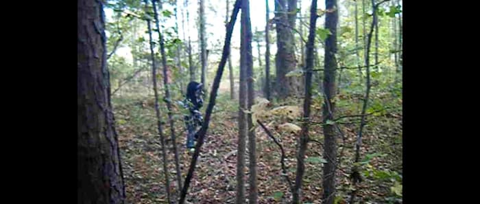 Is This A Baby Werewolf Captured On A Deer Trail Camera In North Carolina