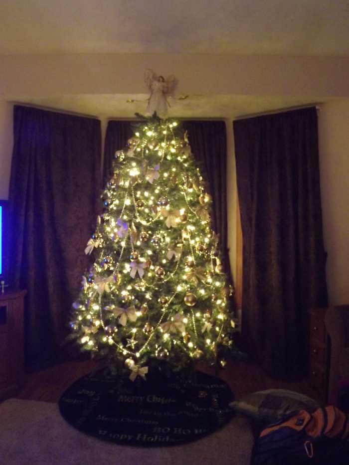 History of the Christmas Tree and What the Tree Ornaments Mean HubPages