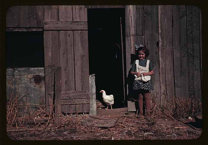 Just a picture of a little girl with an apron full of eggs and a disapproving hen but this speaks volumes about childhood back then. She doesn't seem to mind at all that video games haven't yet been invented (in 1941). Location unknown.