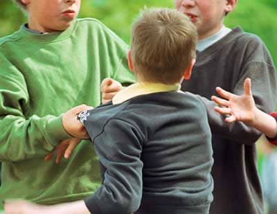 Many siblings transfer their competitive, manipulative, & underhanded behaviors outside the family environment. School fighting & cliques are byproducts of such. Many school bullies come from multichild famlies where such behaviors are typical.