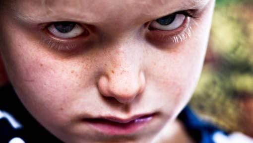 Children in multichild environments learn to be manipulative. They must be in order to SURVIVE, EVEN THRIVE in their particular family dynamic. In multichild households, it is THE SURVIVAL of the MOST CUNNING.