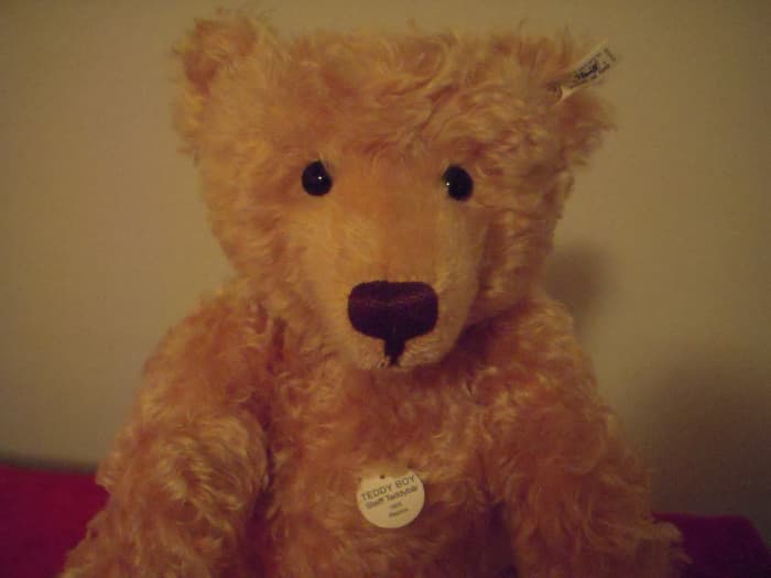 Teddy Boy is a limited edition Steiff, purchased in Frankfurt. Limited editions are individually numbered (on the back of their ear tag.)