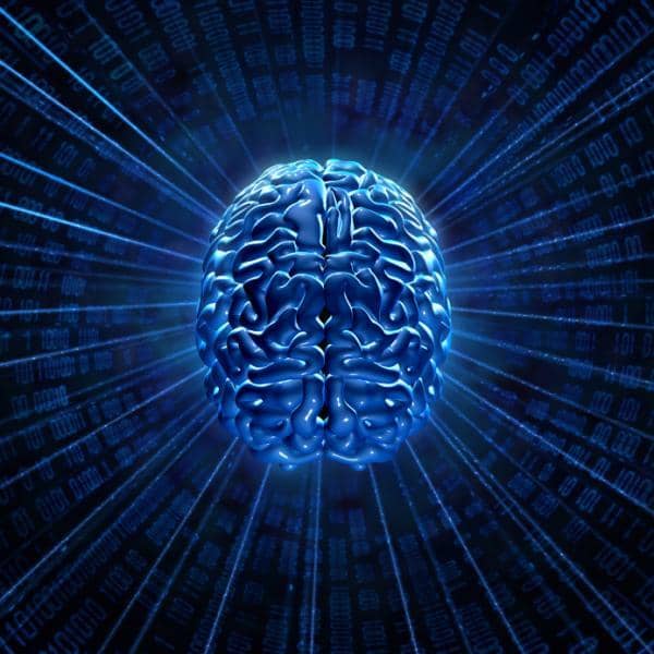 Scientists are studying the wiring of the human brain. Circuit tracing method allows studying of incoming and outgoing signals from any two brain centers; they can look aat up to four links in a circuit. They see that as their technological innovatio