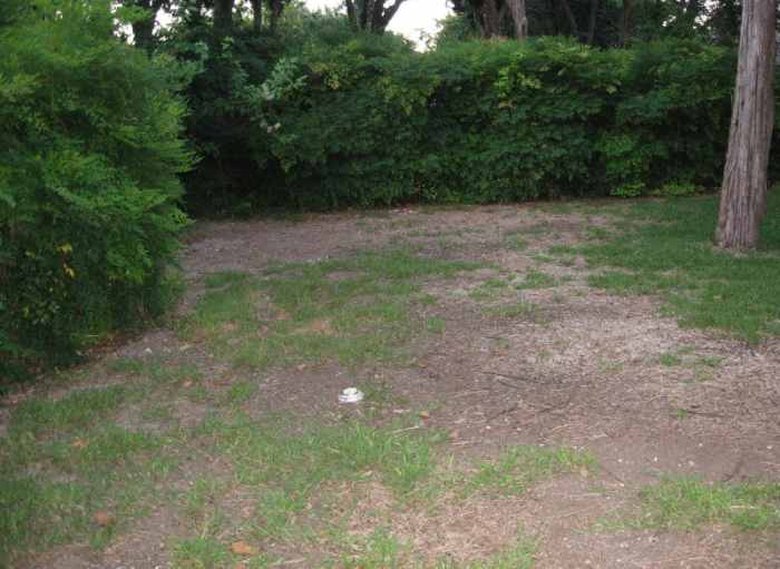 Septic Leach Field Lines Clogged by Roots Cheap Drain Fix Dengarden