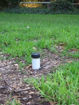 When tree roots grow into the leach field, a cleanout access point permits introduction of copper sulfate into the leach line. This could be landscaped with a small bush, if desired.