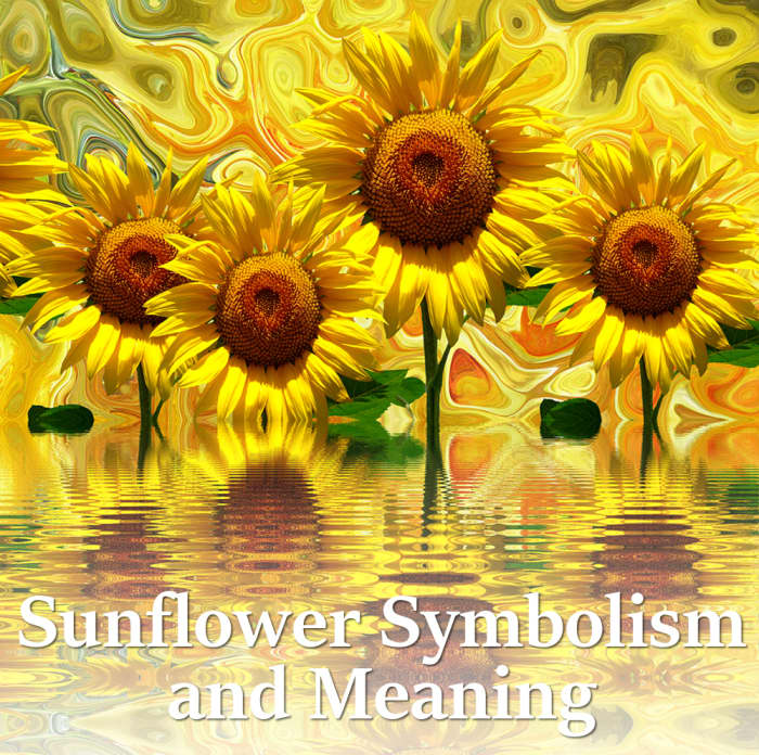Sunflower symbolism and meaning, mythology, history, origins of the flower of the sun