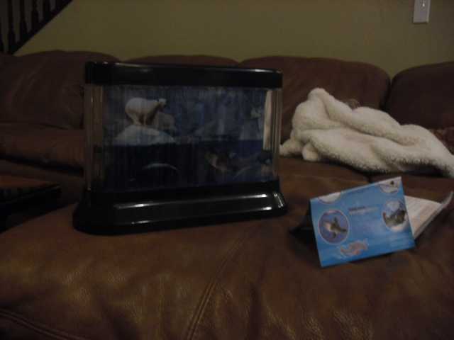 My niece's arctic lamp. I was surprised by how intrigued she -- a little kindergartner -- was by it.
