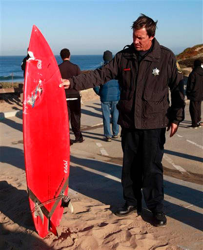 A California State Park lifeguard holds up the surfboard of Eric Tarantino, who neck and forearm was bitten. He was lucky the shark's teeth got the board and not him for this bite!