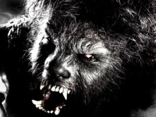 Werewolf Vs. Lycanthrope - HubPages