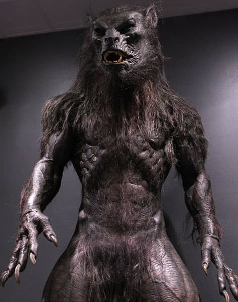 A "lycan" from the popular movies of Underworld. The reverse could be said of this picture. I would say it's more werewolf like than lycanthrope.
