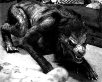 A werewolf from, "An American Werewolf in London." A very good depiction of a werewolf, if a little more wolflike.