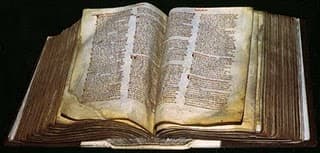This piece in the Normans' arsenal was an effective bureaucratic weapon - Domesday pinned down pig, cow and sheep and showed where they grazed, as well as where their owners ploughed