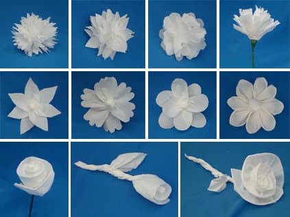 Never thought something like toilet paper could make something so beautiful.